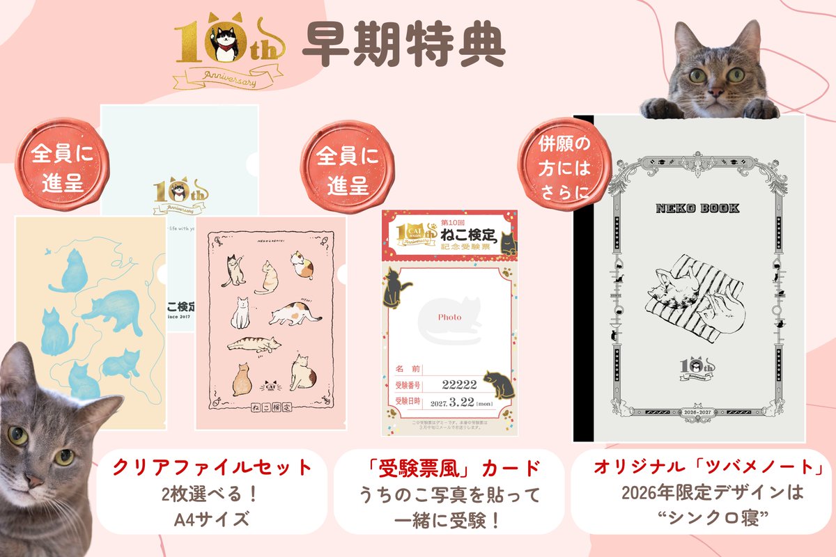 nekokentei's tweet photo. 詳細はねこ検定公式HPでチェック！
練習問題挑戦やテキスト試し読みなどもできますよ🐾
↓
https://t.co/tad4A6xe3x

#猫 #ねこ #猫検定 #検定 #資格 #猫のいるしあわせ #猫好きさんと繋がりたい𓏲𓎨 https://t.co/YqzFLLtv0N