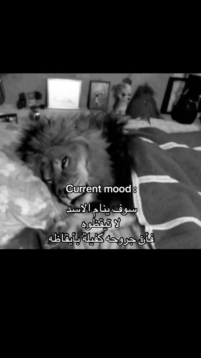 dakhil_97's tweet photo. اعوذبالله اليوم طايح ومريض وابي انام بس خايف أحط رأسي وأنام وأصحى ألقى النومة زادت الطين بلة وزاد علي التعب 💔 https://t.co/nEeyvl3BNc