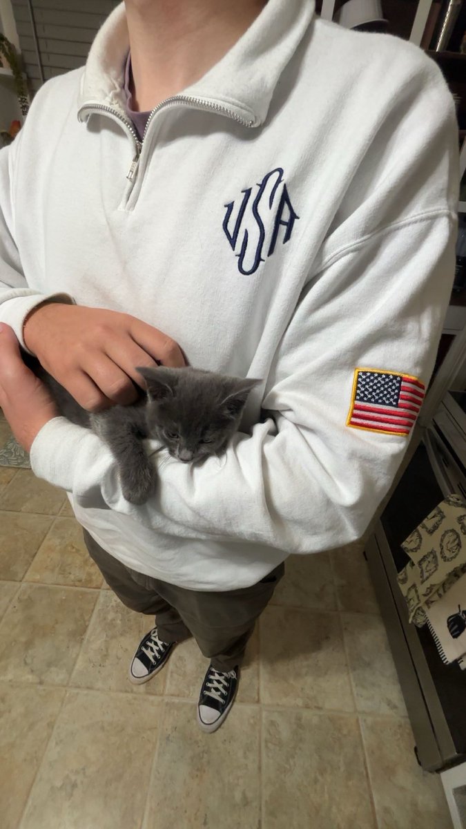 TonyGroypano's tweet photo. Kitty loves the merch https://t.co/ZrorcCHa4o