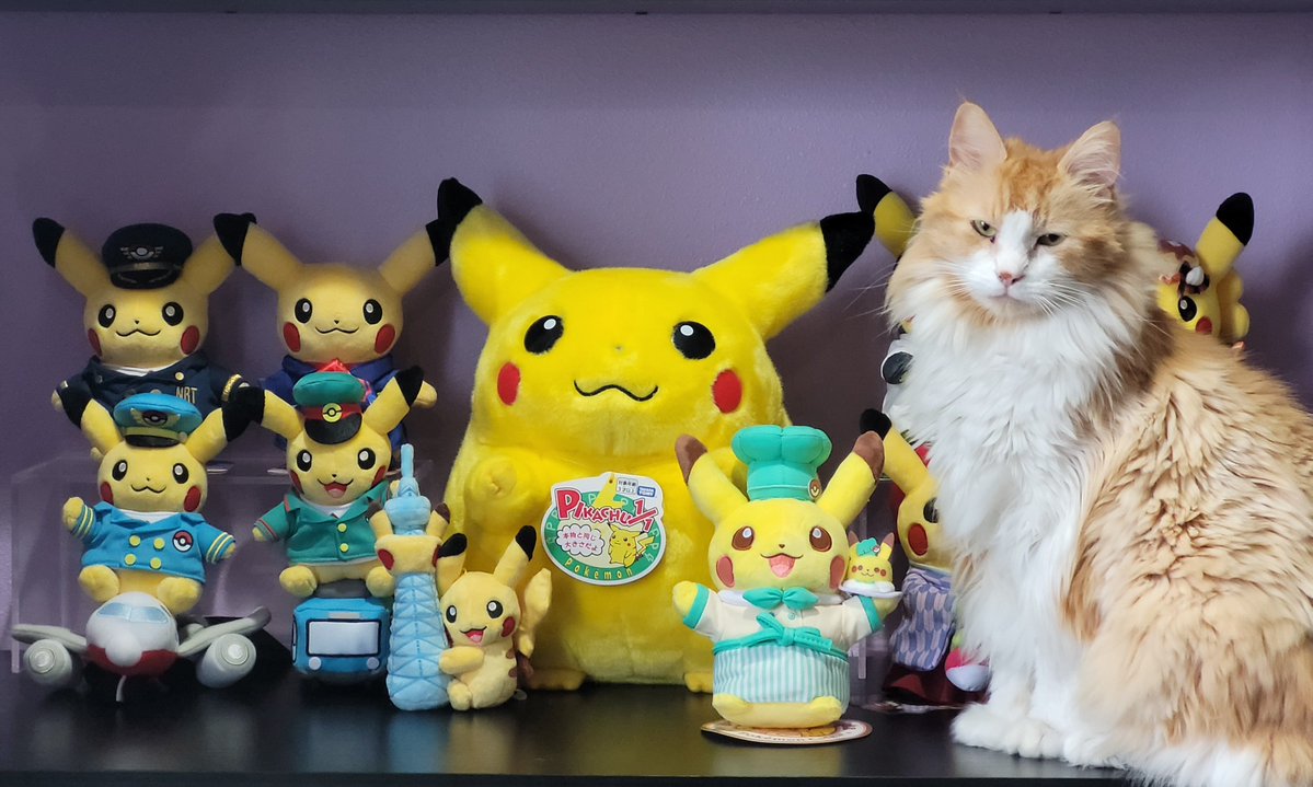 sooshy_art's tweet photo. Pikachu plush collection update ⚡️
during this Japan trip I bought 6 new pikachus from 6 new locations which included grabbing a snack at Pikachu Sweets and finding the 30th anniversary Takara Tomy 1/1 Pikachu at Pokémon Center Mega Ikebukuro https://t.co/BBc1hXAC3S