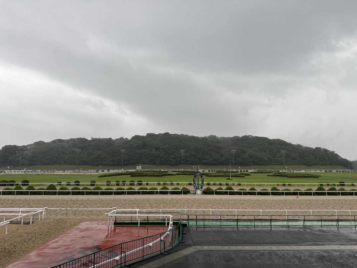 sagaimamura's tweet photo. おはようございます。
今日は雨の終日予報☔ https://t.co/Nrd2SFPznA