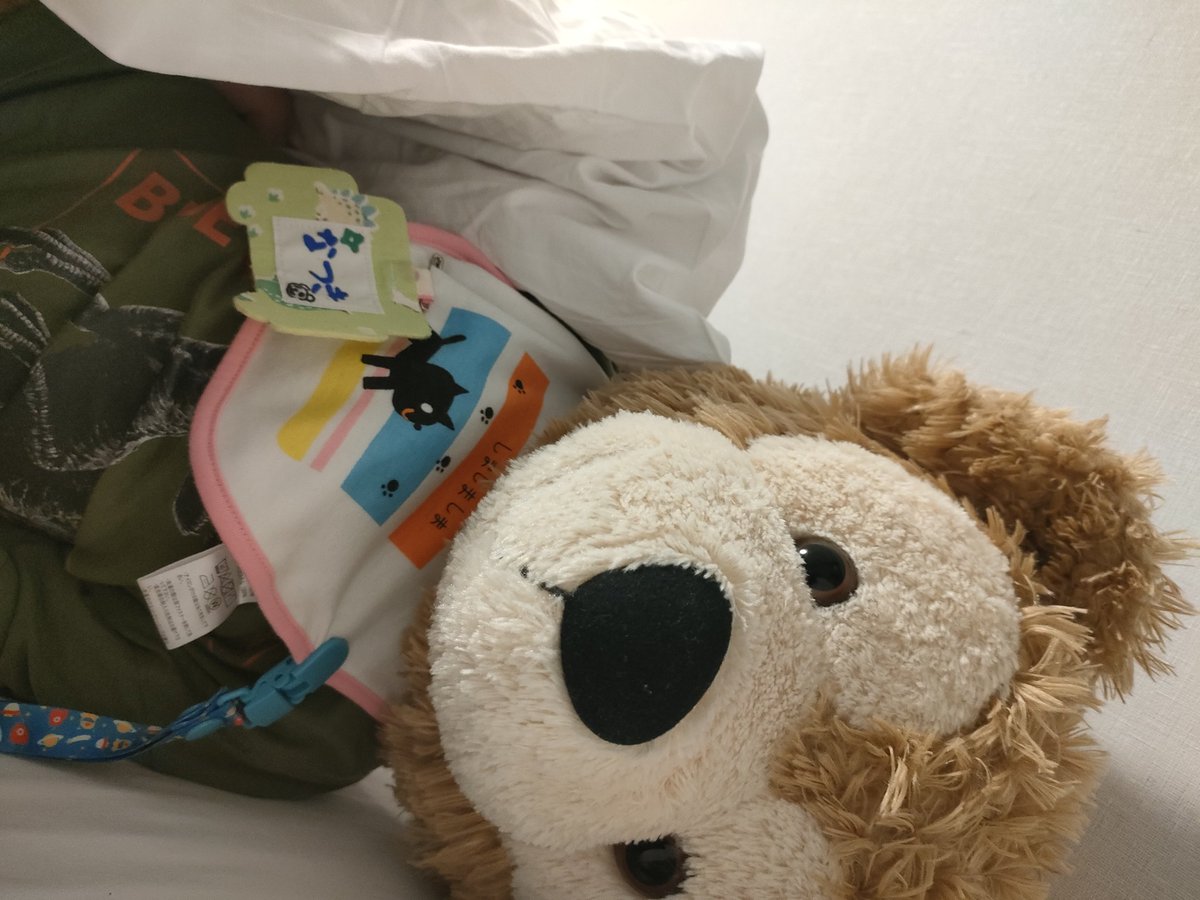 Minato_diapanda's tweet photo. なつくん、おはよー…えへへ、そいねひさしぶりだね…♪
…おねしょ、どうだったかな？

…わ、してない…！すごいねっ！

え、ぼく？
…えへへ、だめだったぁ…///

…みたいな…/// https://t.co/TctB07LUcY