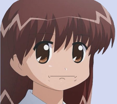 FireMonkey tweet picture