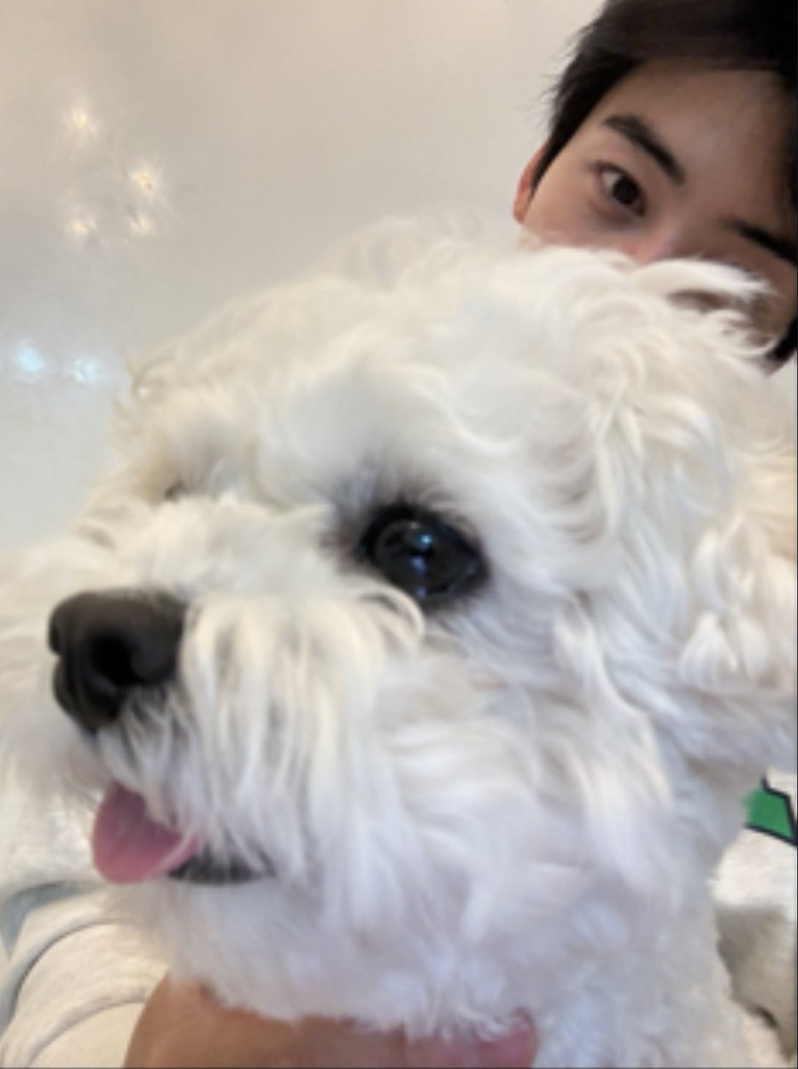 ChaEunwooINTL's tweet photo. Happy Chuseok to everyone from Dongdong! 😊

#CHAEUNWOO #차은우 #이동민
#チャウヌ #车银优 #ชาอึนอู #車銀優 https://t.co/gWwINVU48D