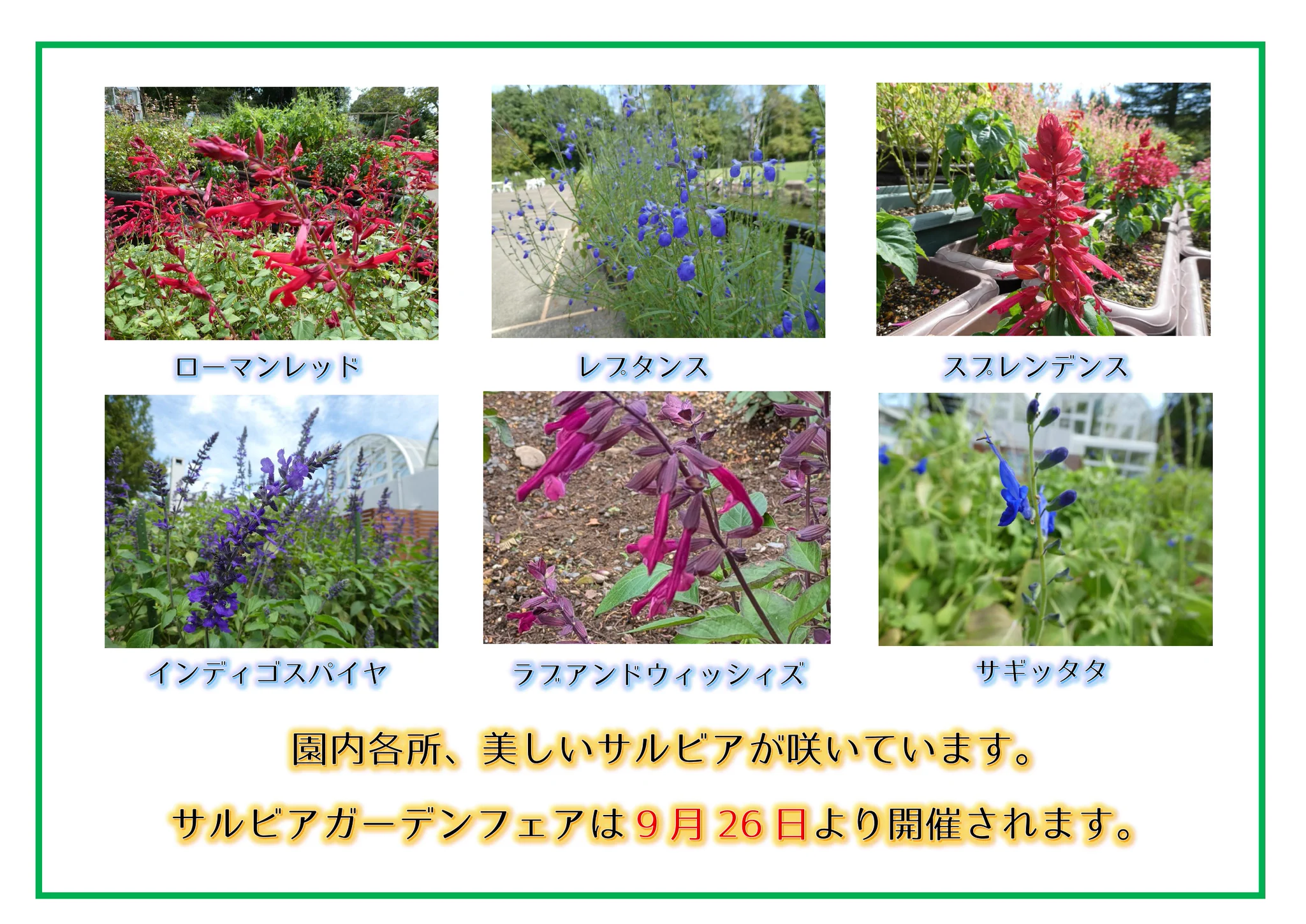 水戸市植物公園 on X: 