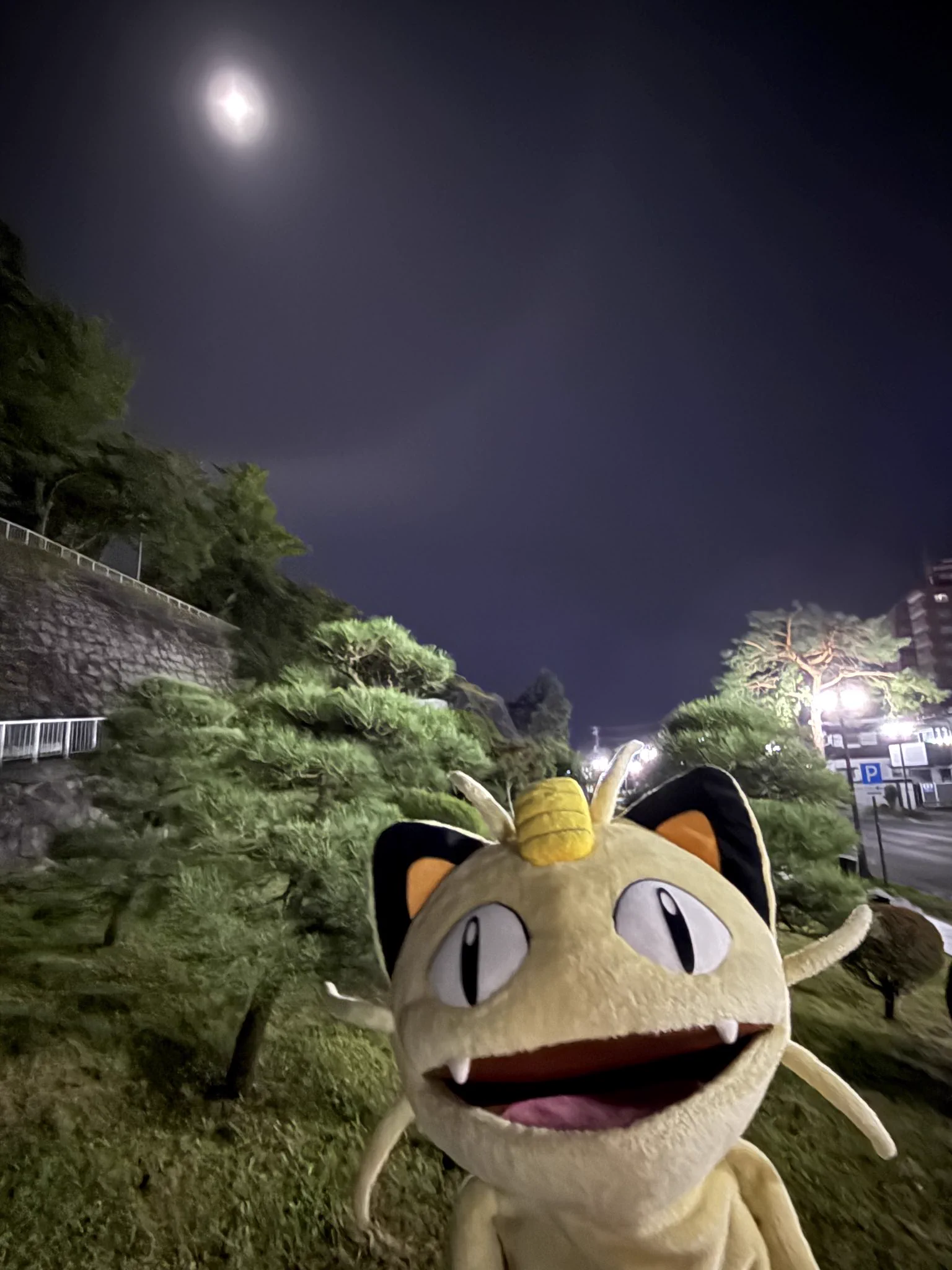 ポケモンだいすきクラブ編集部【公式】 (@pokemon_pdc) / X