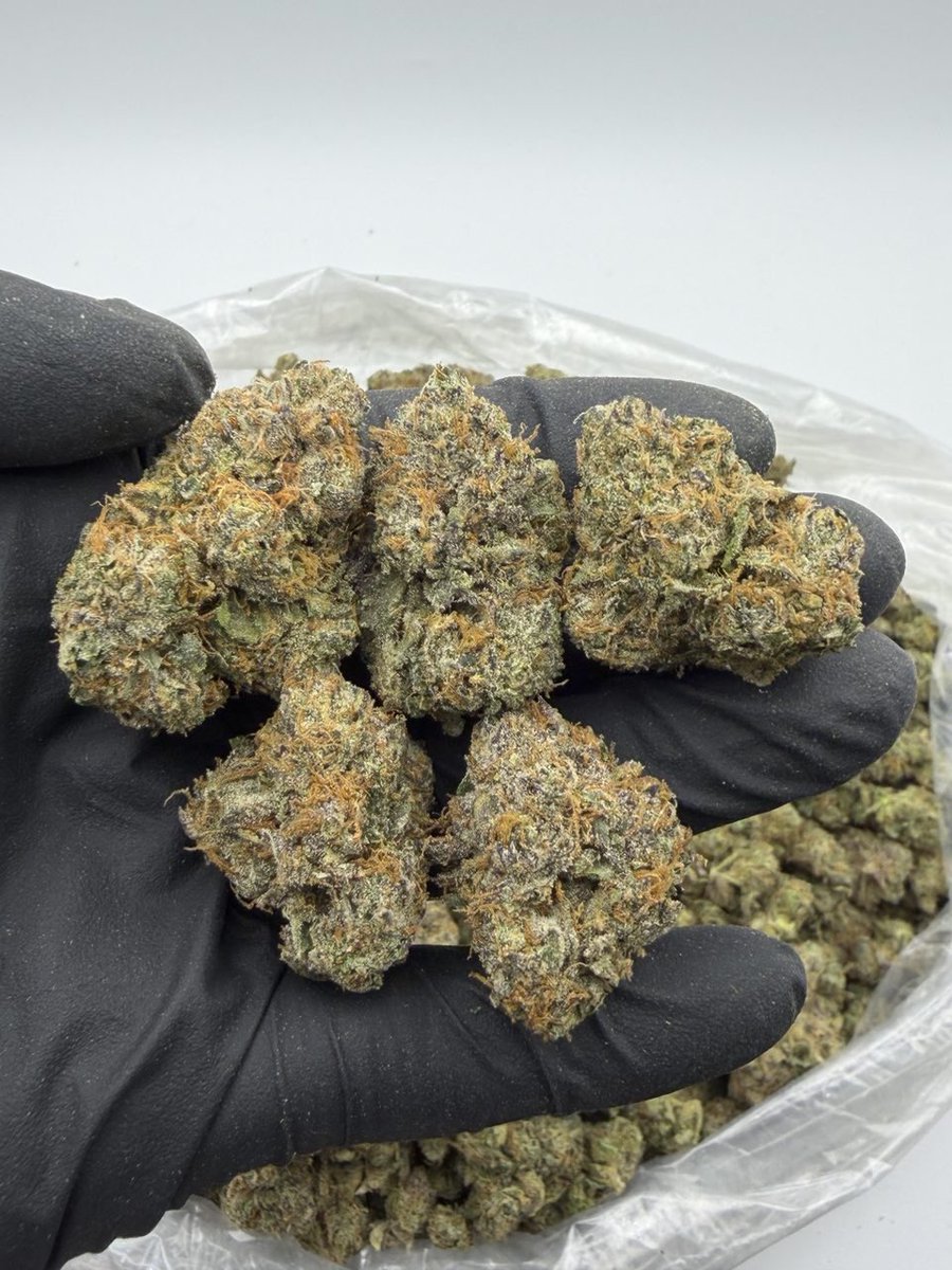 GoldenSgreens's tweet photo. INDOOR

Jumbo Nerds
1unit $700 - 🚢
5 units $650 each https://t.co/whgYWPDBgW