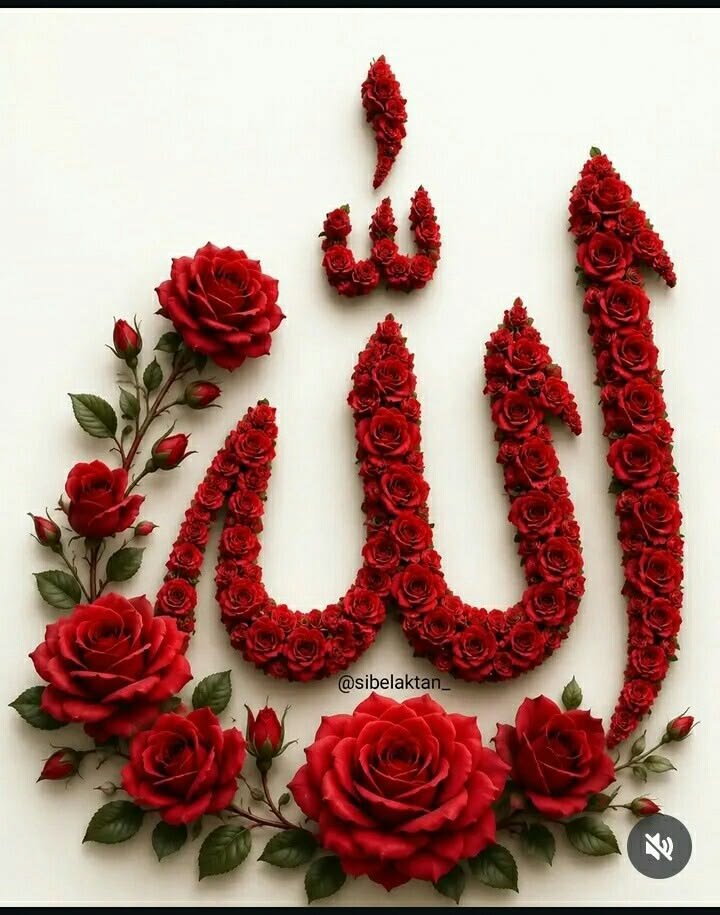 zuni247's tweet photo. @its_1222 ماشاءاللہ بہت خوبصورت اور دل کو چھو لینے والی تحریر ہے۔🌺
سیرت مصطفی صلی اللہ علیہ والہ وسلم زندگی کے ہر مشکل مرحلے میں صبر حوصلے اور سکون کا بہترین راستہ دکھاتی ہے۔ https://t.co/69g2tikWSy