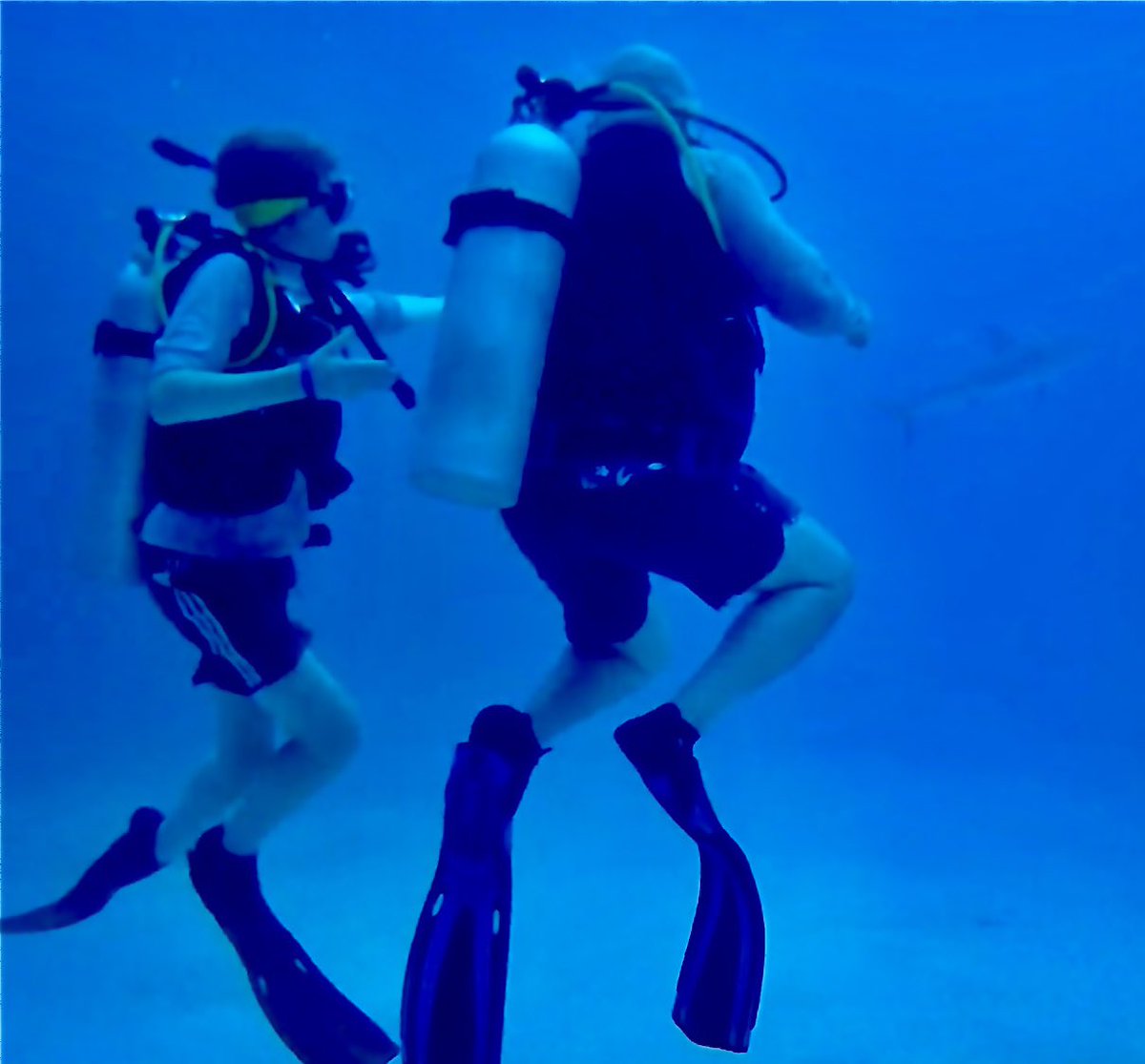 stormfrontfreak's tweet photo. Nothing like experiencing your own #SharkWeek with your son! https://t.co/WWUxEykodk