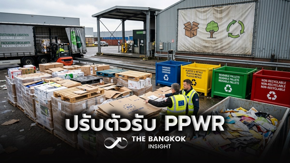 BangkokInsight's tweet photo. สนค. ติดตามกฎระเบียบใหม่ของสหภาพยุโรป PPWR ที่ได้เริ่มบังคับใช้ ตั้งแต่วันที่ 12 ส.ค. 2569 เป็นต้นไป แนะผู้ส่งออกต้องเตรียมความพร้อม��รับตัวให้สอดคล้องกับข้อกำหนดตามมาตรฐานอียู
https://t.co/BqmFI48DRJ
#TheBangkokInsight #PPWR #สหภาพยุโรป #บรรจุภัณฑ์ https://t.co/HL2LHIDj8g