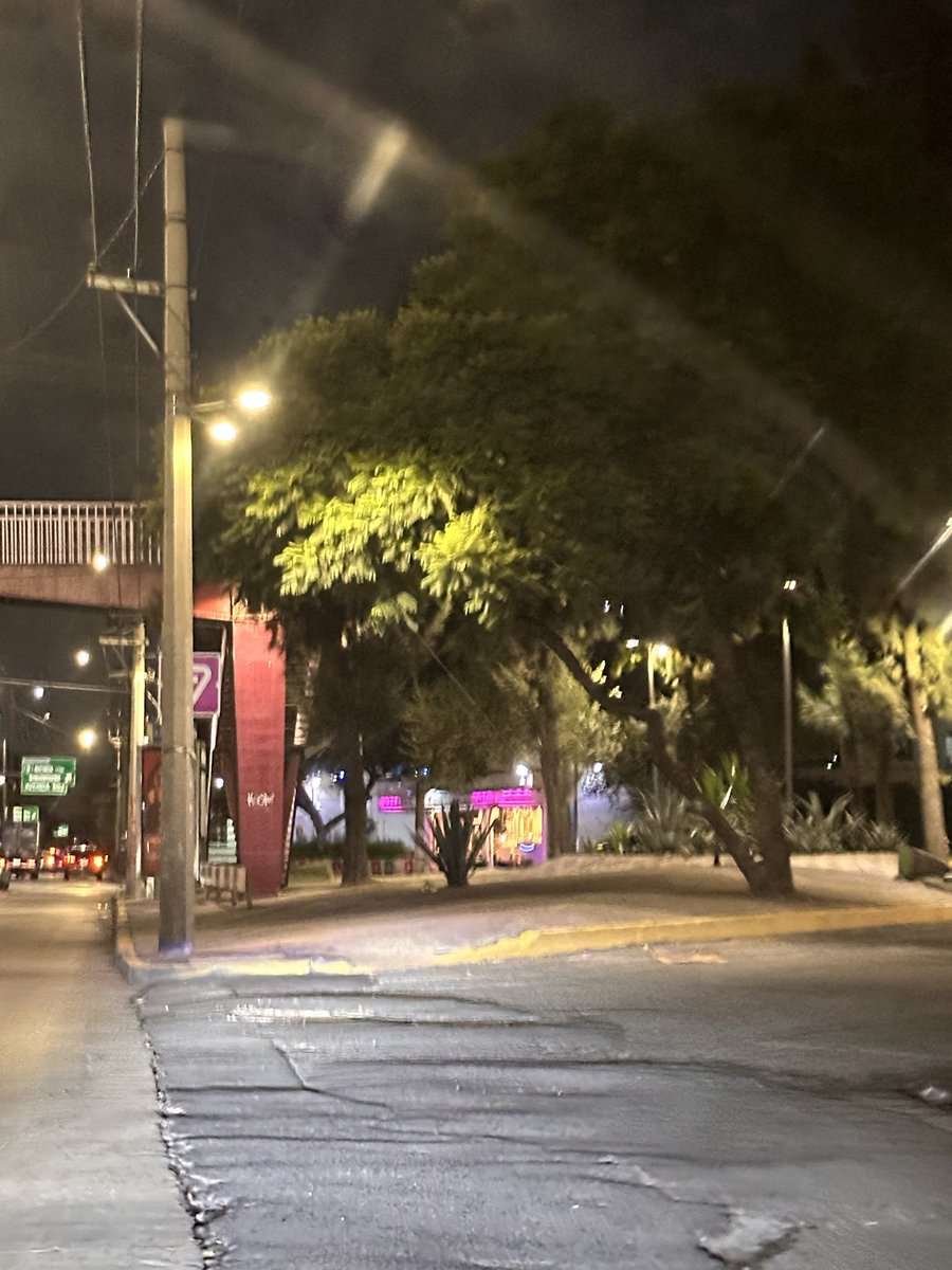 el_rrz's tweet photo. @TuAlcaldiaGAM Segundo día que el cuerpo del pobre perrito que fueron a abandonar sigue en vía pública, en pleno circuito 
@adnnoticiasmx @TuAlcaldiaGAM https://t.co/gWvp7oD2ek