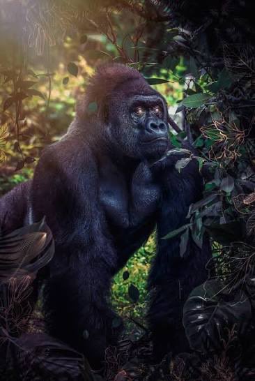 PredatorGarduno's tweet photo. #IAmTheKing of the X jungle. @mugisfucked @largesizedcup Yall some itty bidy Roaches im the King. https://t.co/zcPtE24lO8