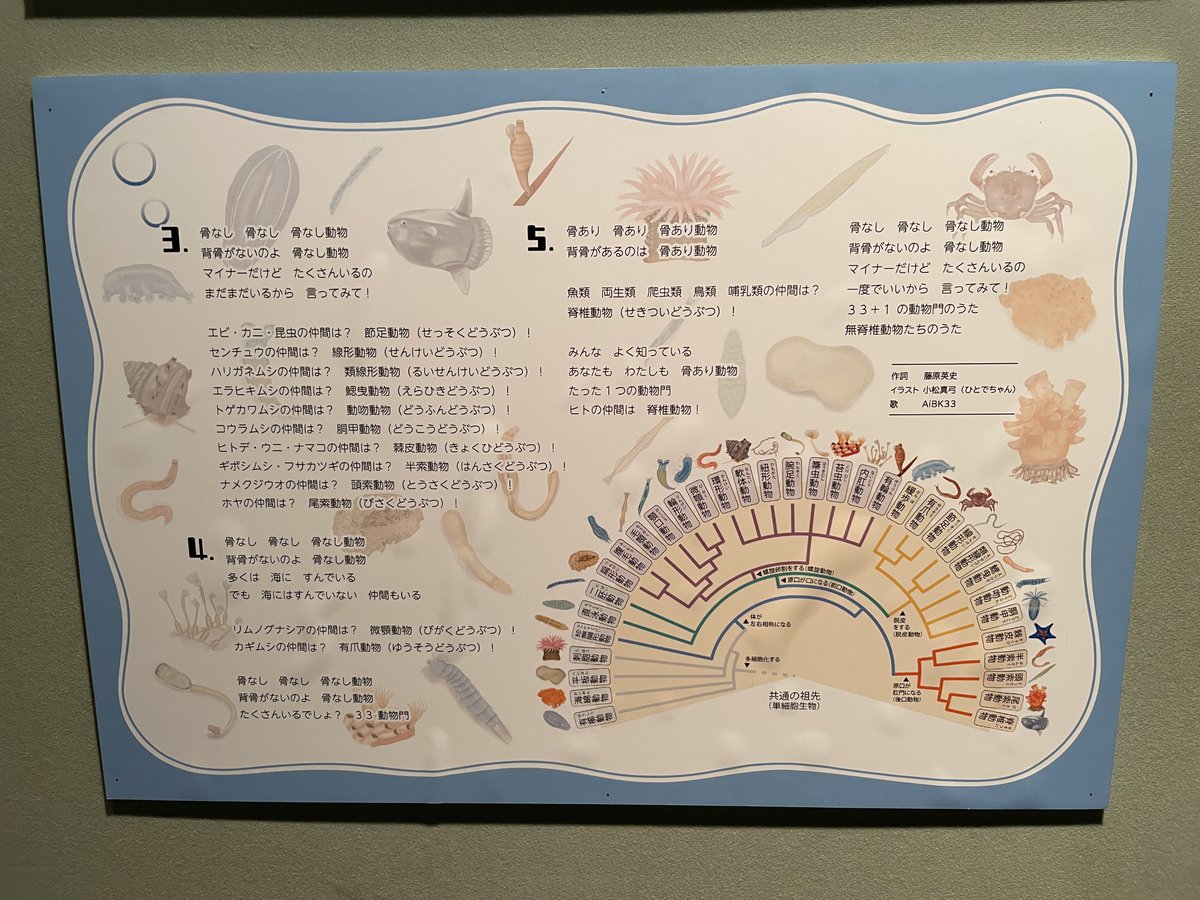maruyubesi2022's tweet photo. 今日は茨城県自然博物館の
企画展に
滑り込み
展示も良いけど
この歌が耳に残りまくるので
聴いて欲しい
#茨城県自然博物館 https://t.co/KvHN1USr9i