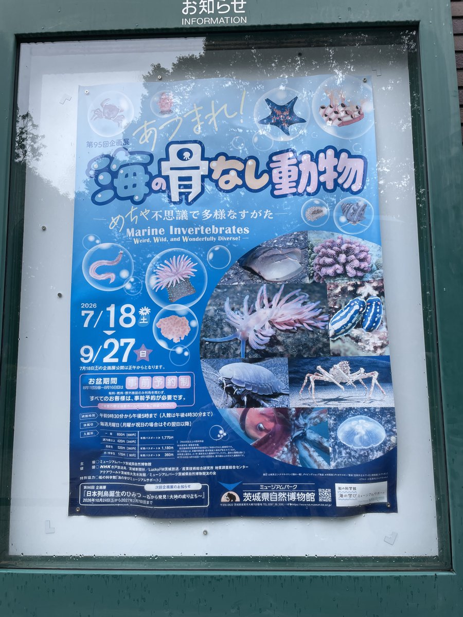 maruyubesi2022's tweet photo. 今日は茨城県自然博物館の
企画展に
滑り込み
展示も良いけど
この歌が耳に残りまくるので
聴いて欲しい
#茨城県自然博物館 https://t.co/KvHN1USr9i