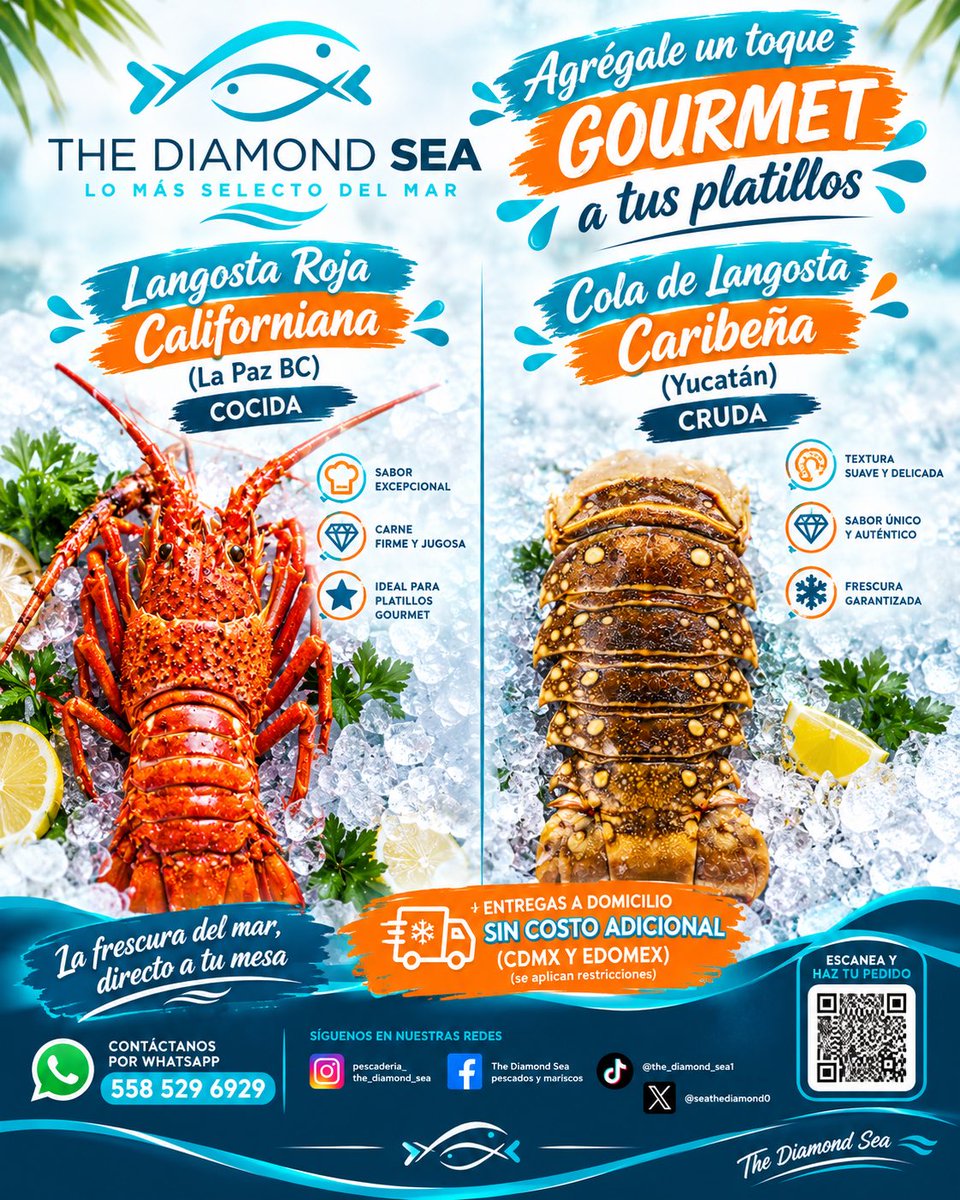 seathediamondo's tweet photo. @En_laDelValle 

    DOS JOYAS DEL MAR, UNA SOLA ELECCIÓN: LA CALIDAD. 🦞
    Langosta Roja Californiana cocida y Cola de Langosta Caribeña cruda de Yucatán.
    Dos experiencias, dos sabores y la calidad premium de The Diamond Sea. https://t.co/Vd2G2S3y1T