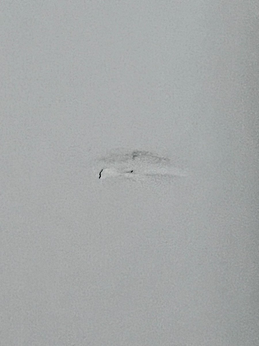 iWundahzY's tweet photo. ‼️Shoot‼️My power tower hit my cabinet door 💩
#AnneodeSuka🇯🇵🖕🪽😇🪽 https://t.co/jDNdKr4Jbr