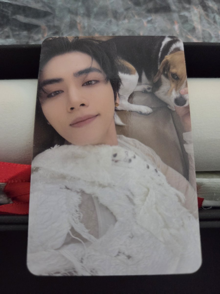 keyleehyukjae's tweet photo. @YUKICHAN6666 FF外から失礼いたします。
シャオジュンさんございます。まだお決まりでなければテンさんとご交換頂けますよう、ご検討をお願いいたします🙇 https://t.co/UcjioUlPoH