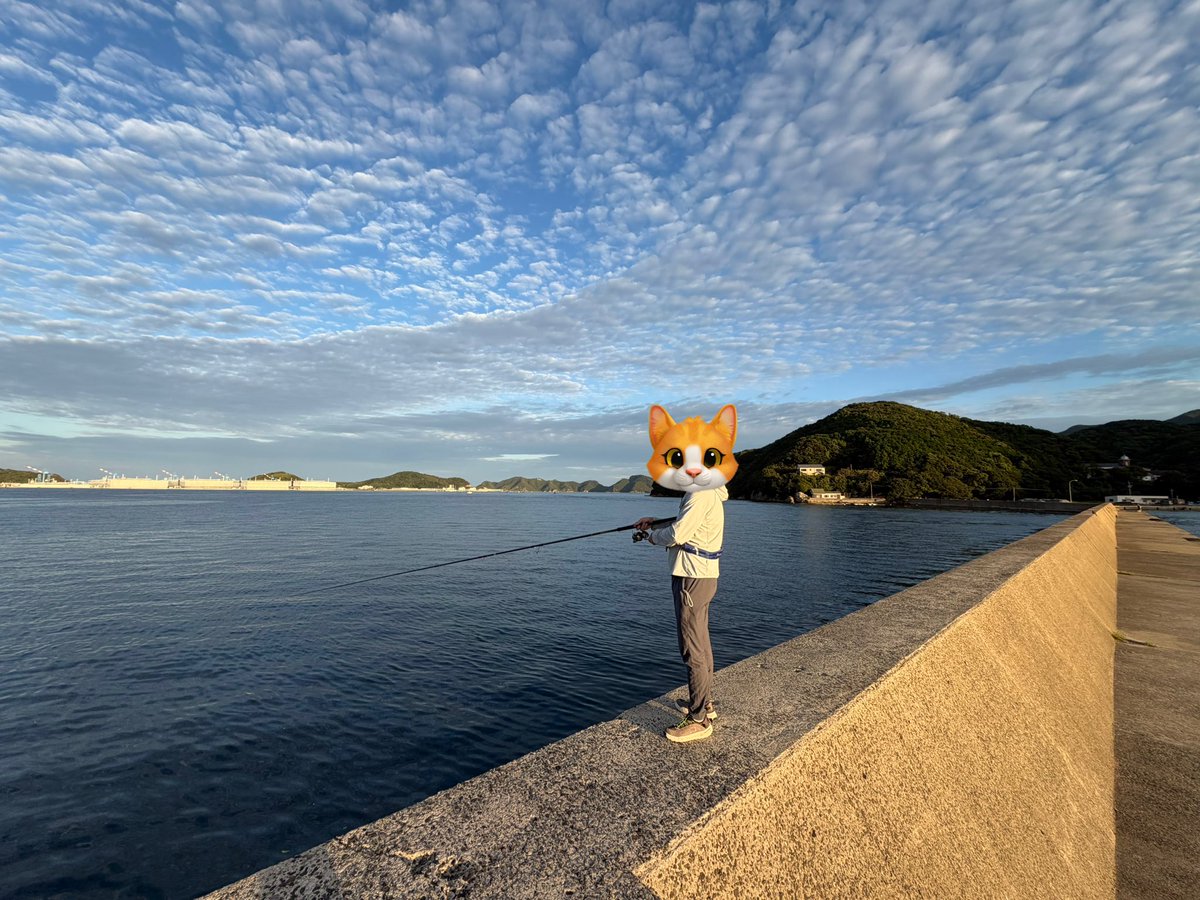bubuegi's tweet photo. いつもの島にお世話になってきました。
島の釣り友達の方々、本当に、本当に親切で親切で…。感謝しか��いです。
優しい方々、ありがとう。 https://t.co/mxWopaeO6K