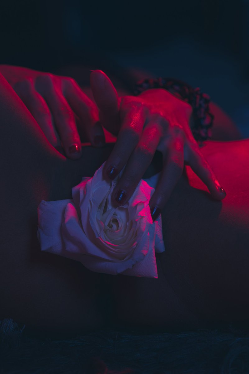 secretphot45189's tweet photo. Kind of feeling 🔥🌹 https://t.co/Atk9dya0Wh