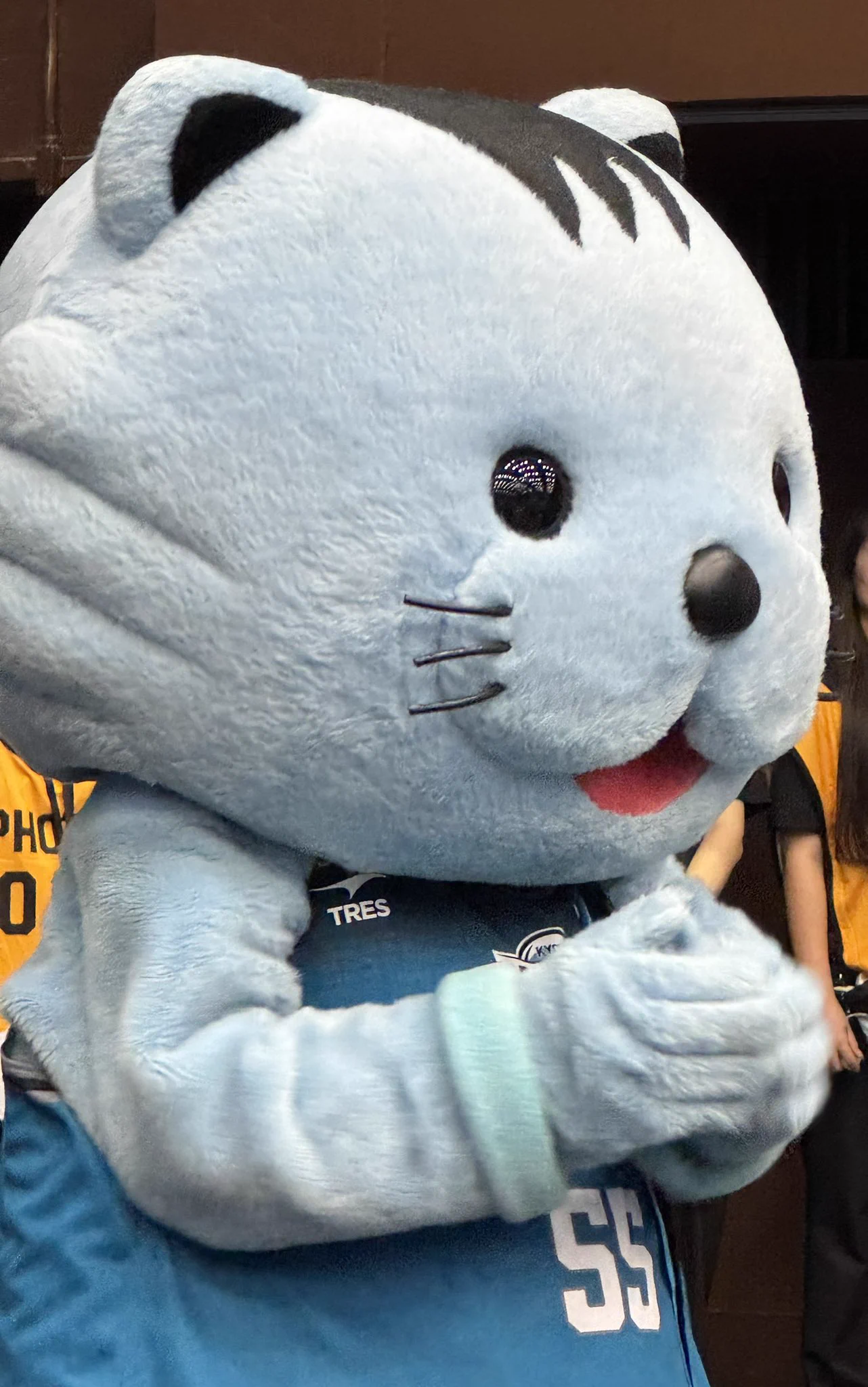 タヌchan on X: 