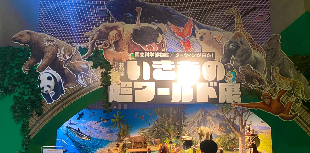 twatanabe_nh's tweet photo. （タイムラグできちゃったけど）科博の生き物超ワールド展も見に行きました！
耳の研究をしているので、どうしてもマニアックな写真ばかりになってしまう👂
ちなみに写真は、ウミイグアナの耳周り、アジアゾウの耳小骨、アフリカゾウの耳介

#博物館探訪 #科博 #生き物超ワールド展 #耳 https://t.co/6KceViEJFM