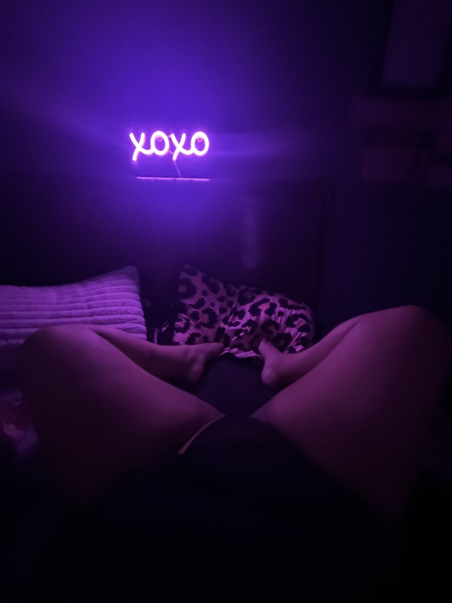monayedadon's tweet photo. evening delight 🐱 https://t.co/fzbnOFjmfU