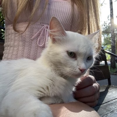 7n_210's tweet photo. #NewProfilePic https://t.co/xITd9wZWE9