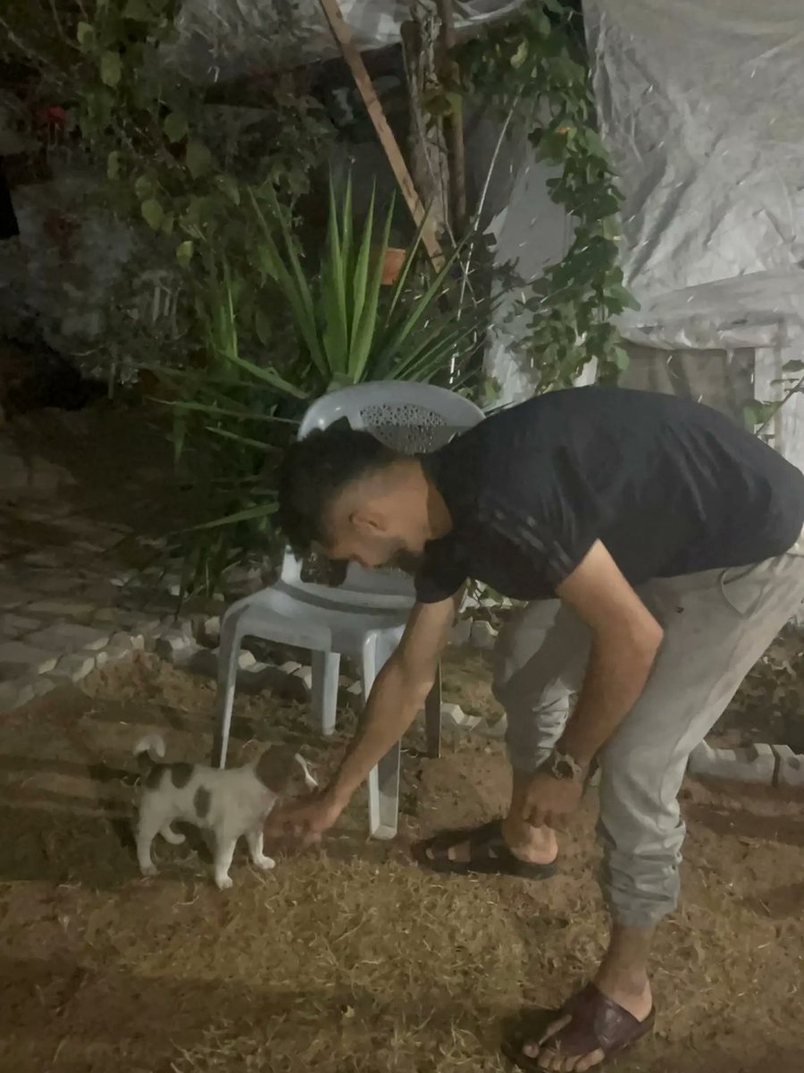 leahrobertseeew's tweet photo. It’s nighttime in Gaza, but I’m still awake and worried. We’ve raised $216 of the $712 needed for the shelter’s rent, leaving $496 with only two days left. This shelter is home to animals who are fed, treated, cared for, and protected. Please help https://t.co/XvrgGpm6jl