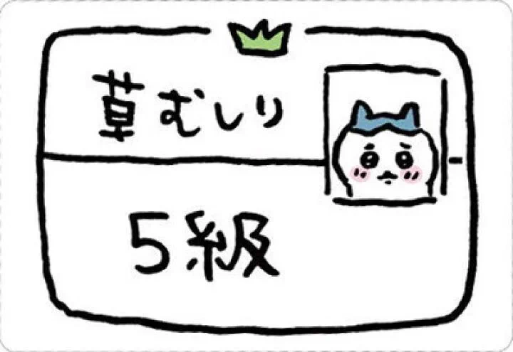 すずめちゃん。 (@suzume_kiyoraka) / X