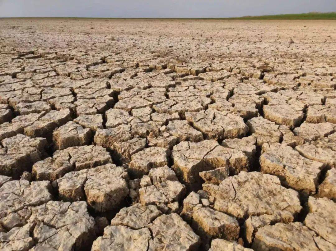 SPQtmMNLXHz2Yft's tweet photo. [I rely on the dry lakebed, the restored land under my feet brings quiet strength today]， https://t.co/xeGT62nIZF