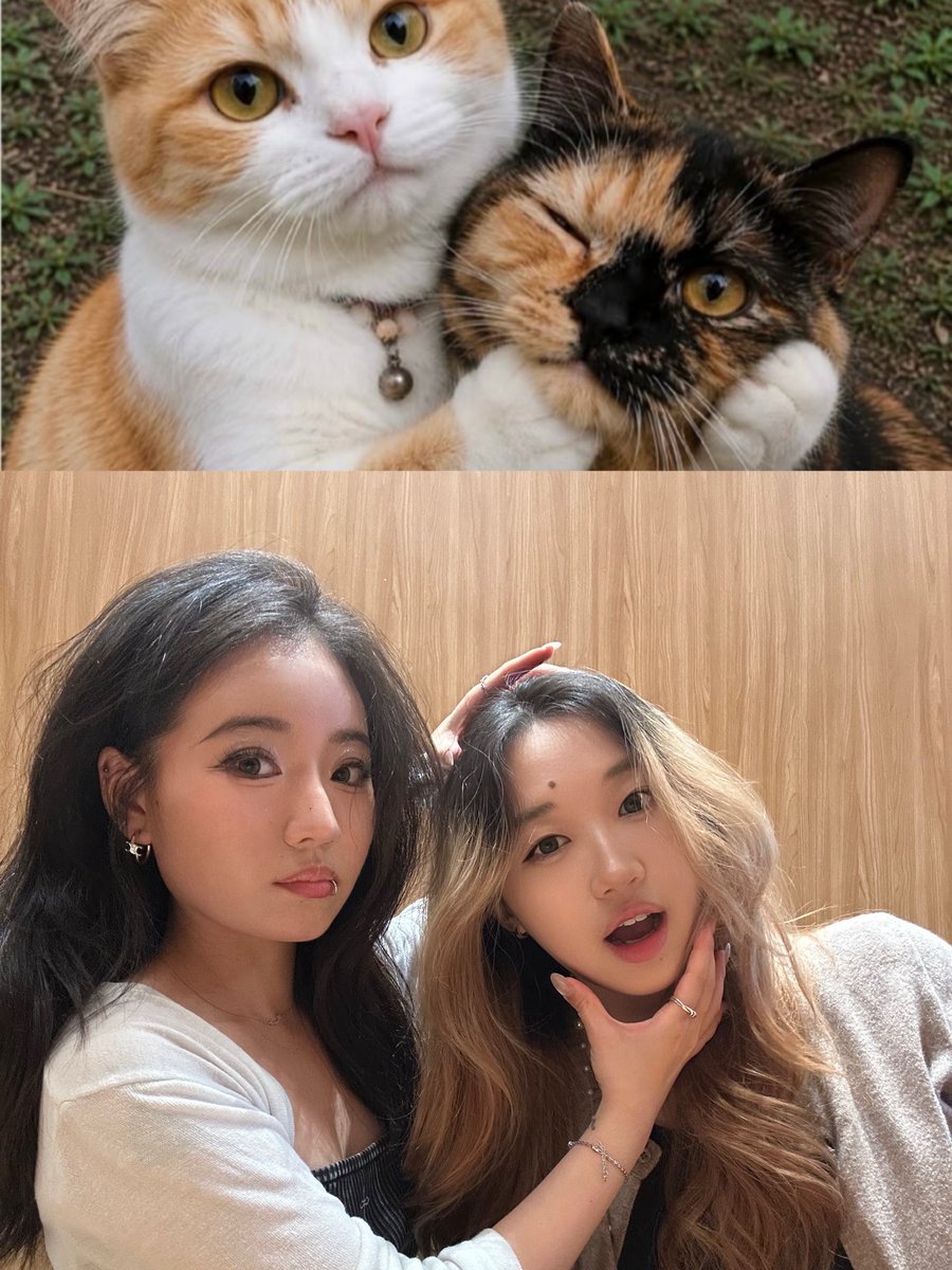 addisonsanukhv's tweet photo. Tell me you and your best friend share the same brain cell without telling me. https://t.co/wpxPgScQHo