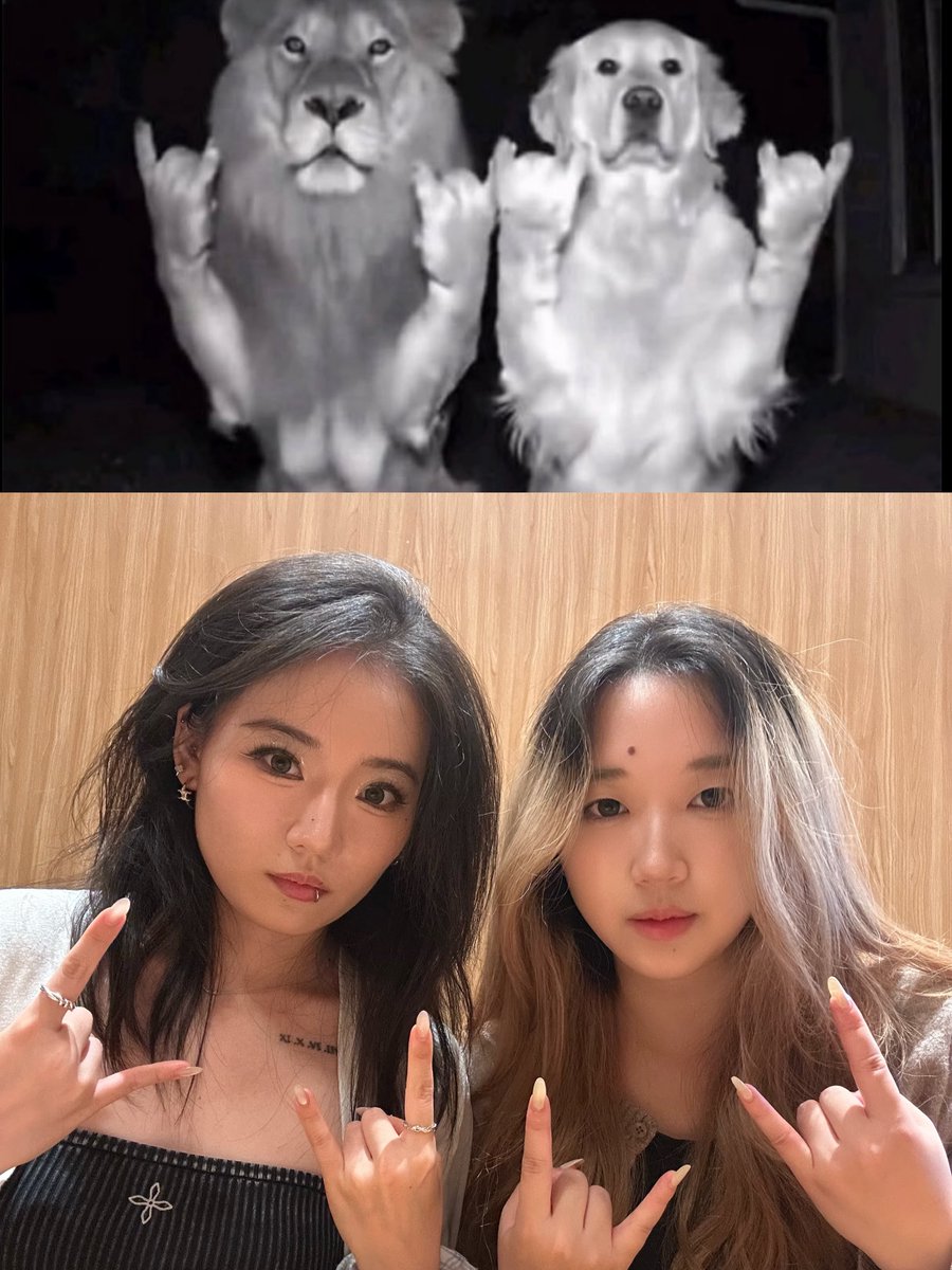 addisonsanukhv's tweet photo. Tell me you and your best friend share the same brain cell without telling me. https://t.co/wpxPgScQHo
