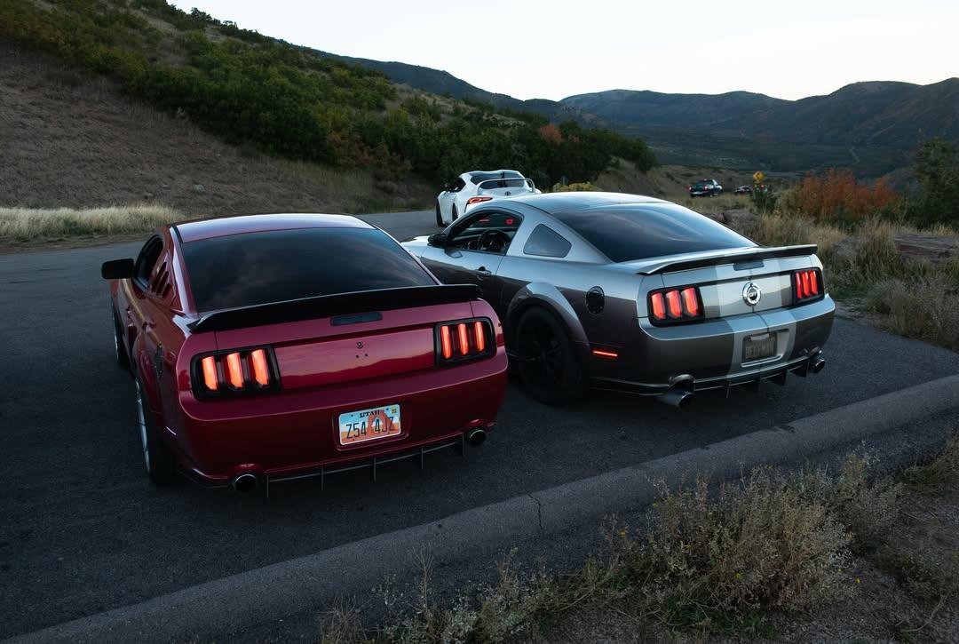 MustangRTeam's tweet photo. #Mustang https://t.co/OvWI7WMUit