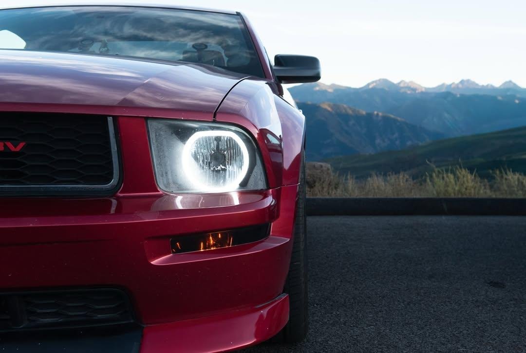 MustangRTeam's tweet photo. #Mustang https://t.co/OvWI7WMUit