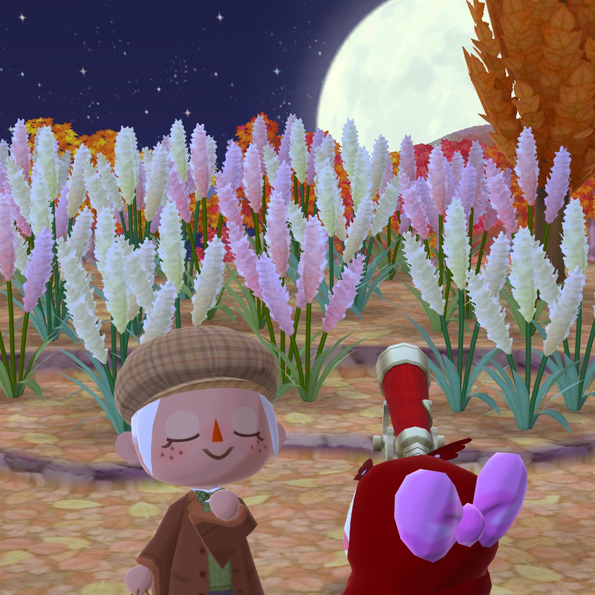 heliosdharpy's tweet photo. 🌕 Viewing 🦉 ☕️ 🥮
#animalcrossing #acpc #pocketcamp #moonviewing https://t.co/9RmiEy51DV