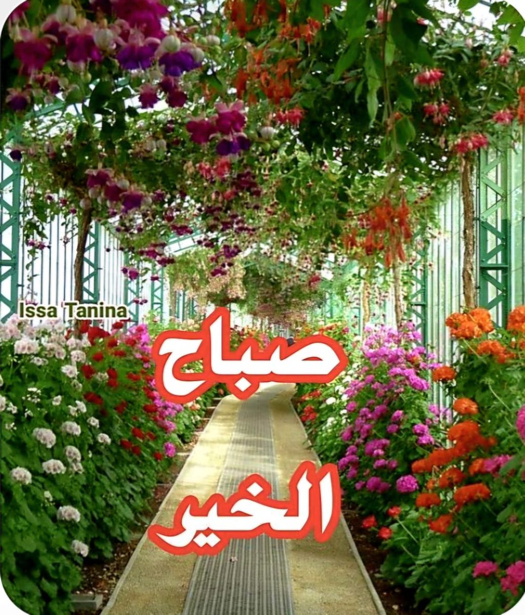 TZM_Zamzama's tweet photo. السلام علیکم ورحمتہ اللہ وبرکاتہُ

صبح بخير 

یا اللہ رب العزت، ہمیں قلبی سکون عطا فرما، اپنے شکر گُذار اور فرمانبردار بندوں میں شامل فرما، اور ہمیں ایمان سے لبریز، محتاجی سے دُور اور عزت و برکتوں سے بھرپُور طویل زندگی عطا فرما۔

آمین ثم آمین یارب العالمین https://t.co/nIbizMIPBb