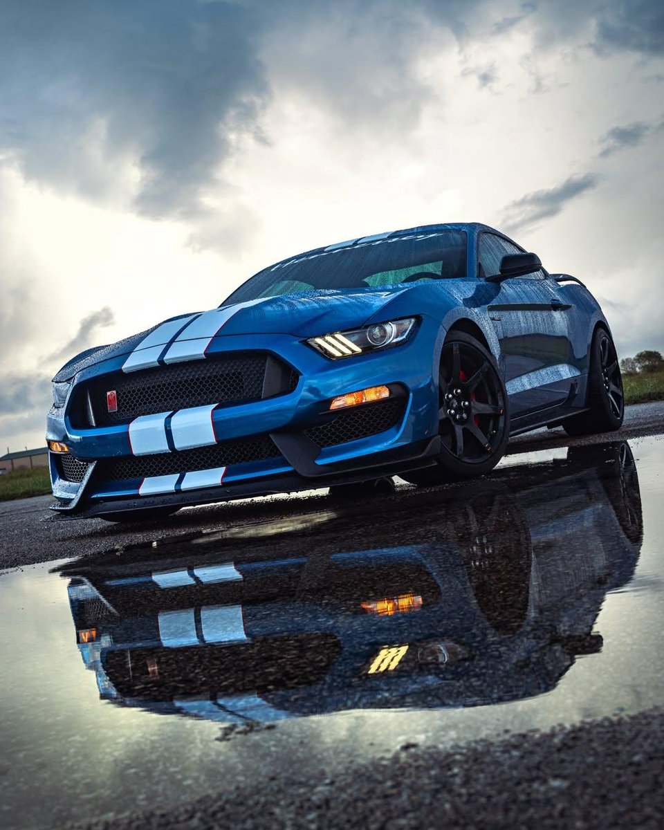 MustangRTeam's tweet photo. #Mustang https://t.co/BptFNWcfn2