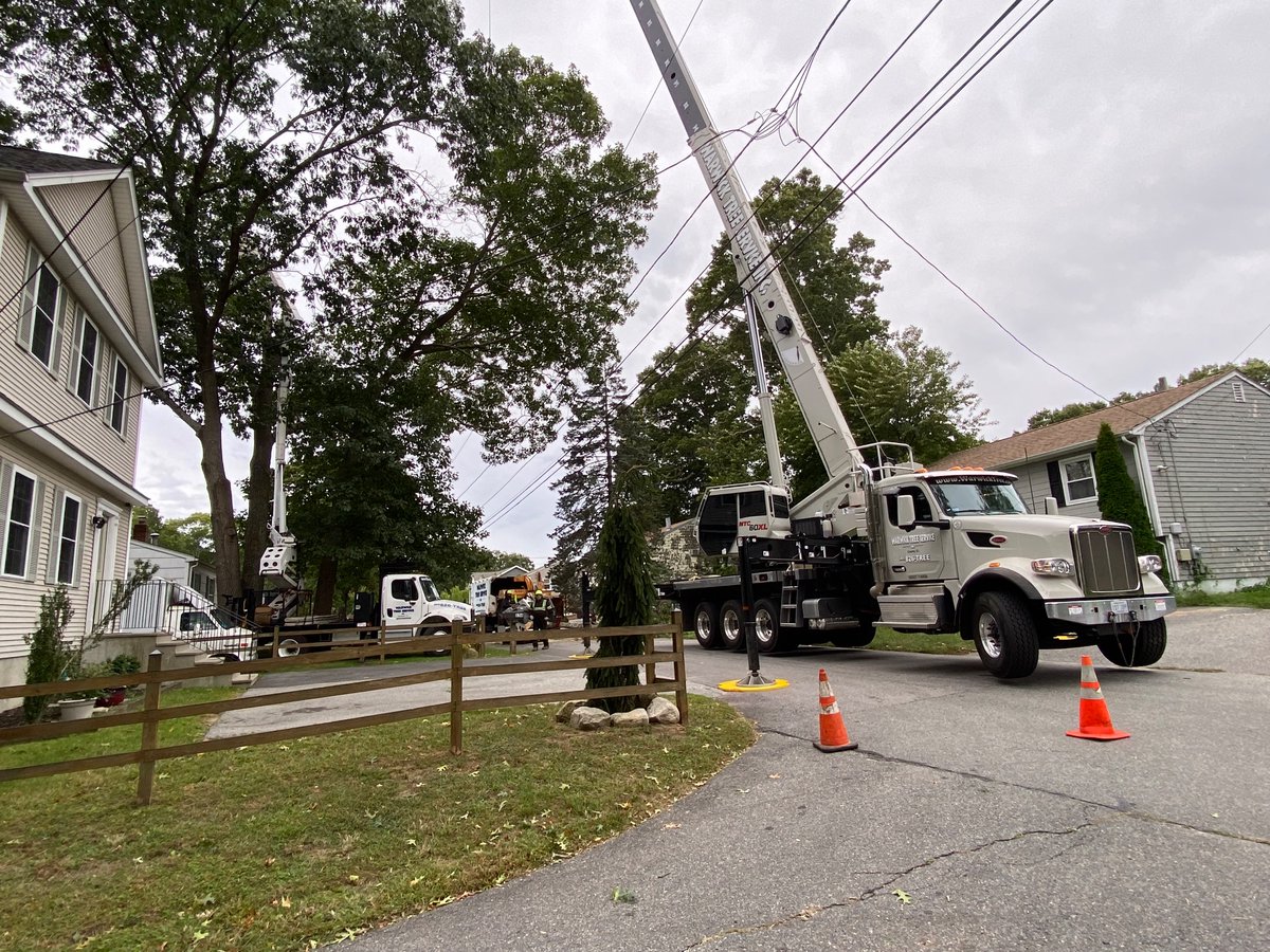 Jviper793's tweet photo. Arborists taking down a large tree today ahead of a nor’easter, with a national crane ntc 60xl mounted on a peterbilt chassis doing the main work https://t.co/nnk68MZnKX