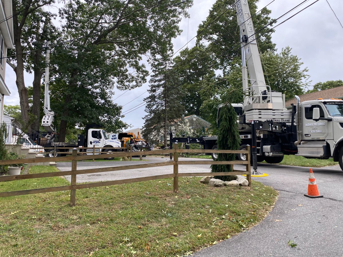 Jviper793's tweet photo. Arborists taking down a large tree today ahead of a nor’easter, with a national crane ntc 60xl mounted on a peterbilt chassis doing the main work https://t.co/nnk68MZnKX