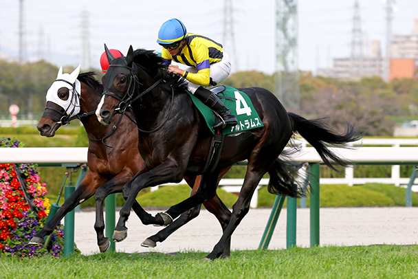 takaikami72's tweet photo. 今日の、無予想レースは、中山１１R・秋風ステークス
⓶軸馬ー＞相手③・⑧・馬連・ワイド https://t.co/VYMU2kocnv