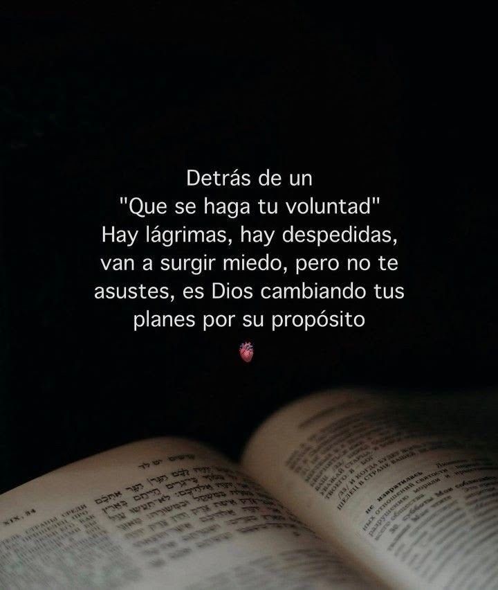 PauloCoelhoDice's tweet photo. https://t.co/22OmsJlqZF