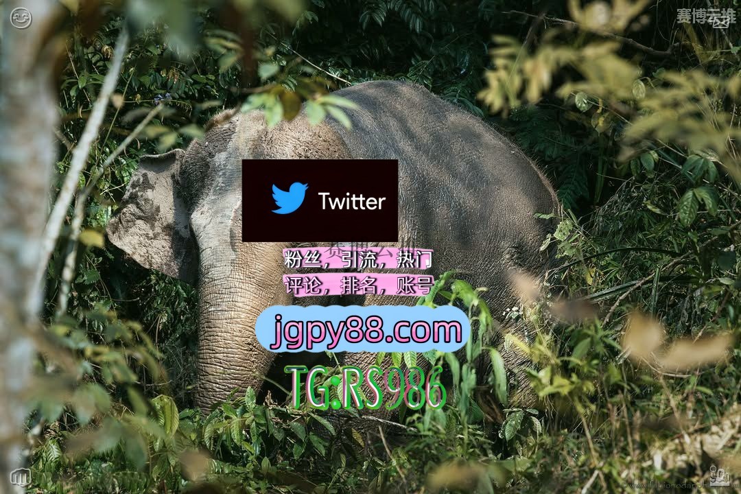 820Ze's tweet photo. 生活就是简单快乐知足常乐平安就是福😖
推特账号购买点赞号 
代发 自动脚本 武威注册号
海外获客🌺互推助手🎌数字货币🍁温县 关键词霸屏🧳熱門🌈权重号🌟推特老号🍄定時發推💐
软件获客、海外推广、流量增长佛山博罗 推特脚本🕰 https://t.co/BrBwYDRYkk