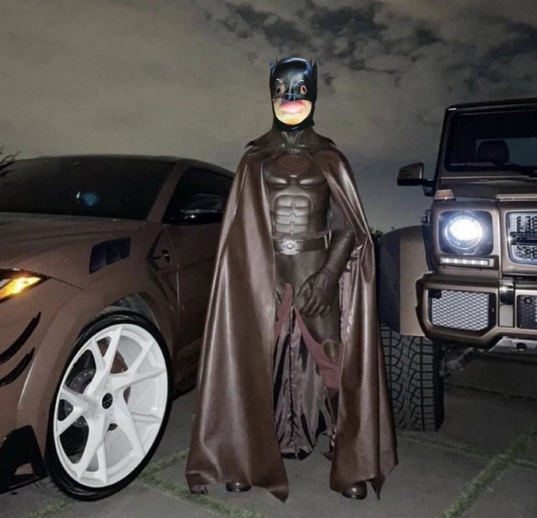 harold_onsol's tweet photo. I'm Batduck https://t.co/ss4uQIfIJk
