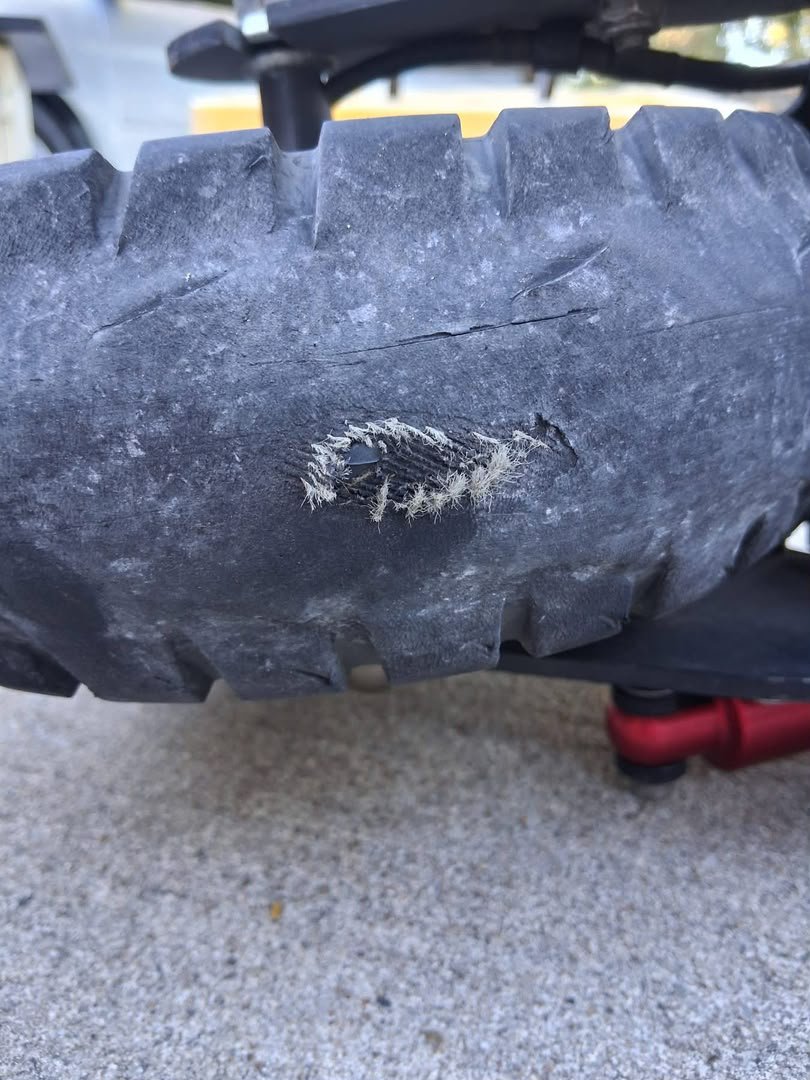 SarahMarsh673's tweet photo. Annnnd Another One Bites the Dust.... almost 200 miles on this one so not too bad.  But when it wore through it popped the inner tube. Which can ONLY be ordered through Super Cycles in Myrtle Beach so he will be waiting for a few days for the Mail and will have to learn patience! https://t.co/gAvX9vyvyc