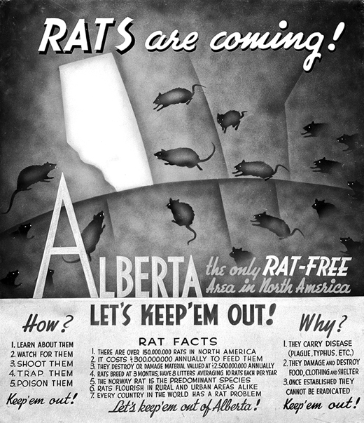 LL_ULTRA's tweet photo. anti-rat propaganda time https://t.co/KYTECFW2LV