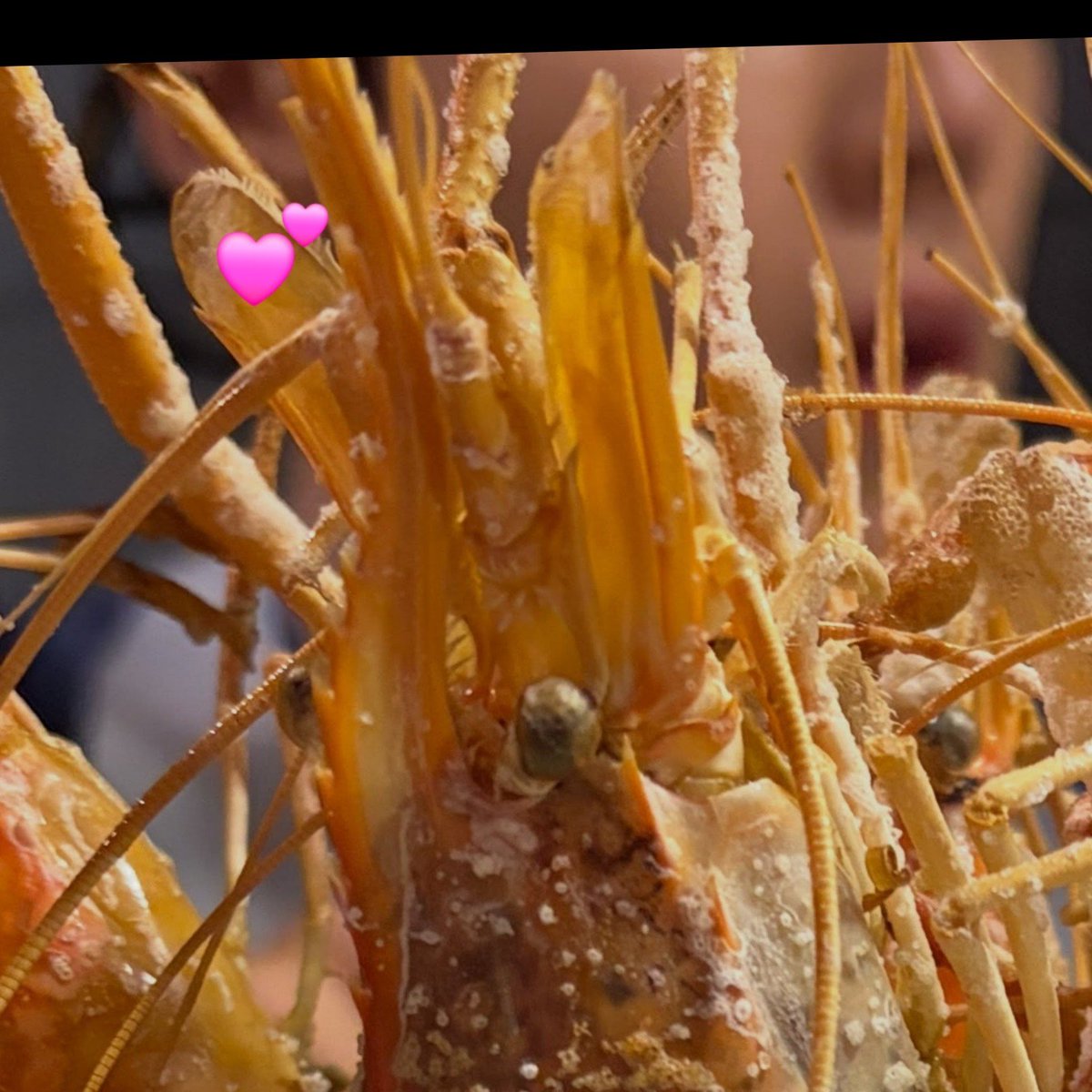 myjuyz_seonho's tweet photo. the eyeglasses behind his head are already such a big giveaway that it’s him, plus those big hands in gloves and ofc the shrimp he’s been yapping about how delicious they are 🤭 https://t.co/2xdSrLPsS7