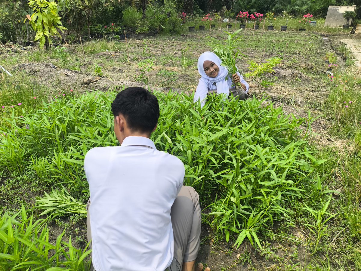 unguajaib's tweet photo. cuan juga nanem kangkung ini aowkwkw https://t.co/dLaUXUjoMz