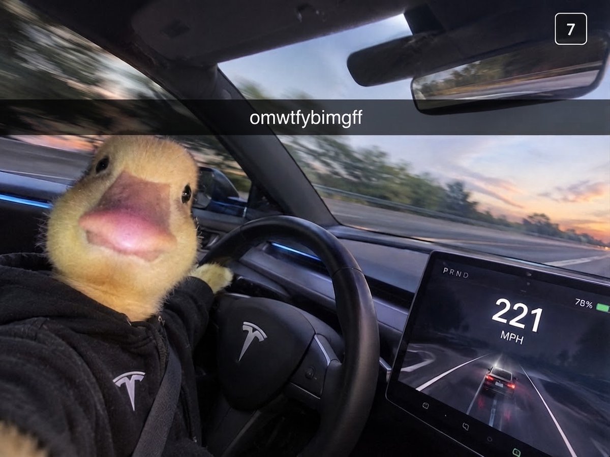 harold_onsol's tweet photo. who said ducks are slow? https://t.co/gHK7myi9j1
