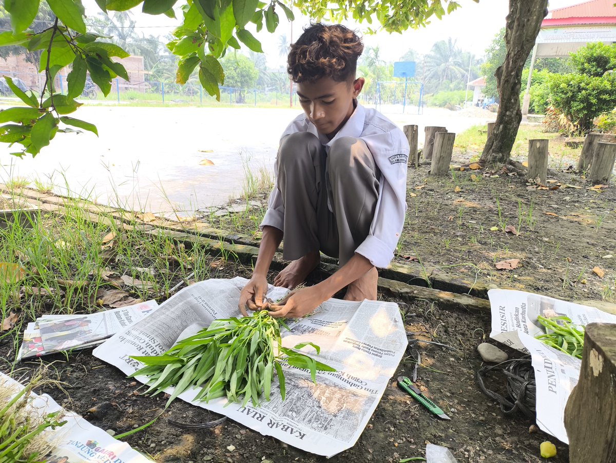 unguajaib's tweet photo. cuan juga nanem kangkung ini aowkwkw https://t.co/dLaUXUjoMz