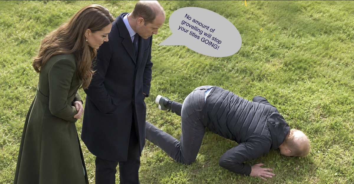 lil_duck_rock's tweet photo. One day โฆ ๐๐โจ
#princeharry #stripthetitles https://t.co/2zUPMS5wyM